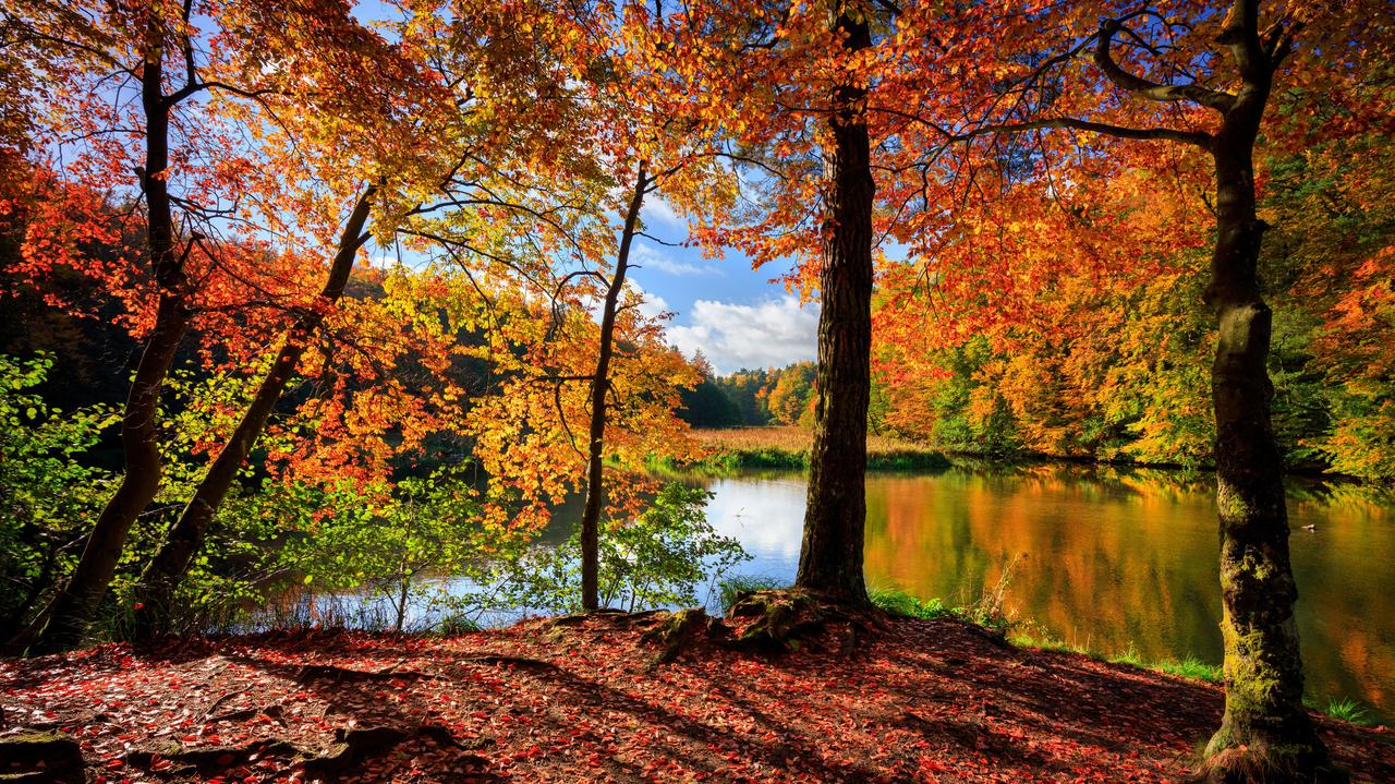 Pogoda w Polsce. Dni pogodnej i słonecznej aury są już policzone