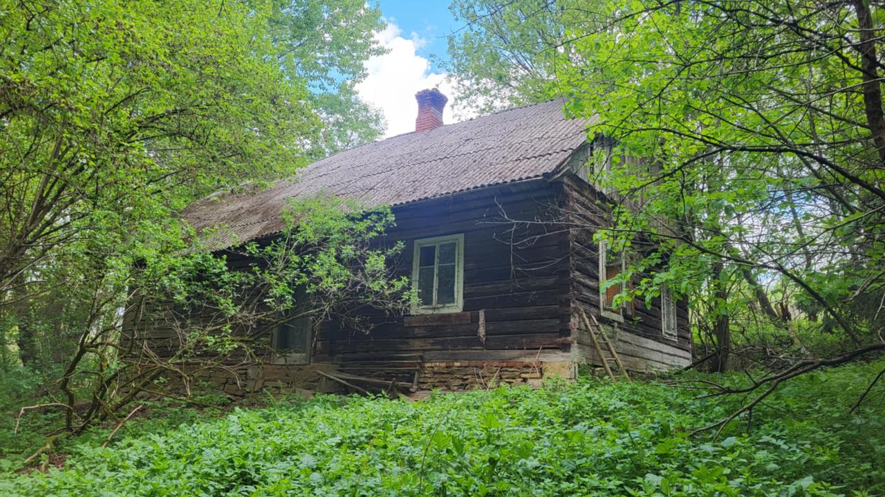 Gdzie jest Zygmunt Korfanty? Po jego zaginięciu w stajni wylali beton