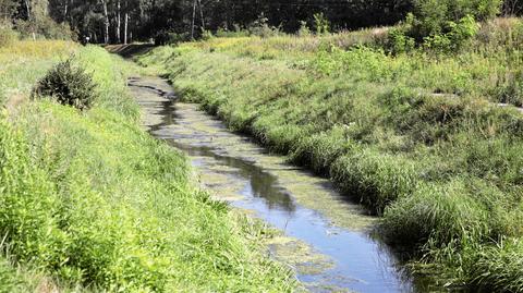 "Wybudujemy kolektor Mokotowski bis, etap drugi, odcinek 2,5 kilometra"