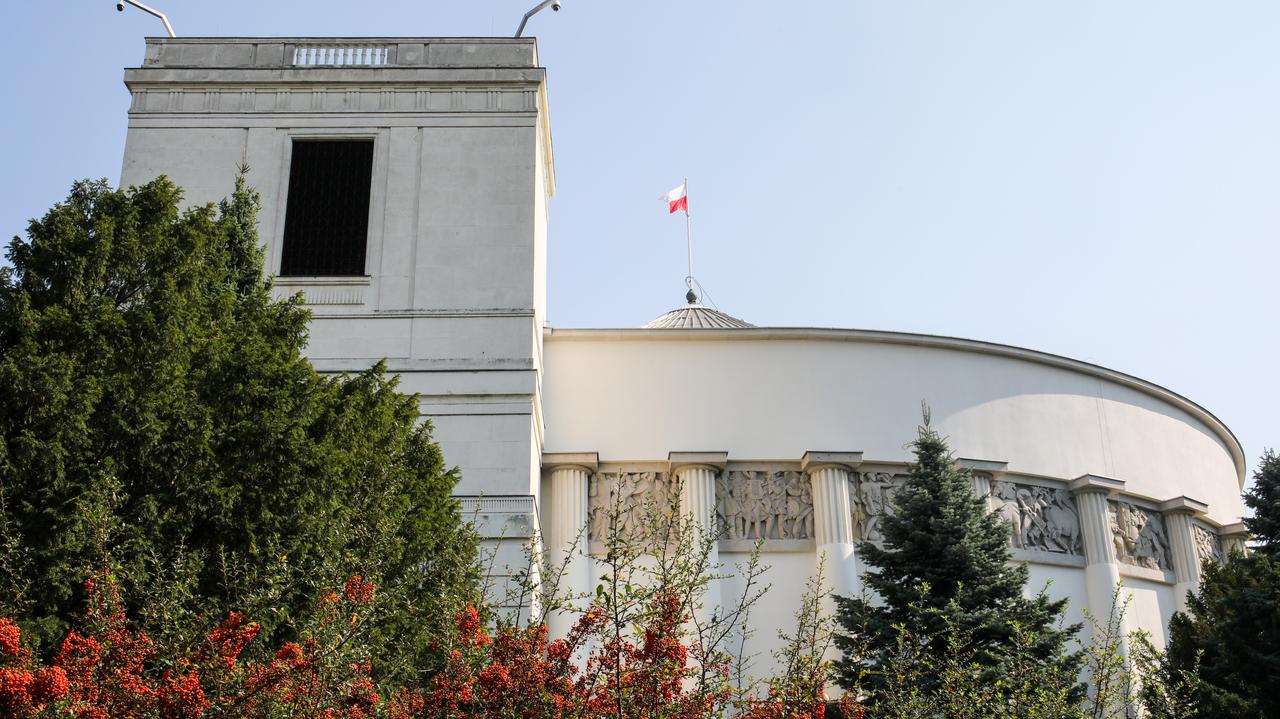 "Pozytywny trend dla KO". Najnowszy sondaż