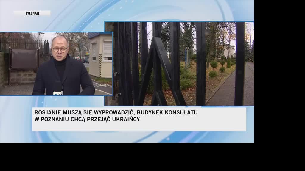 lajf wojcik 2