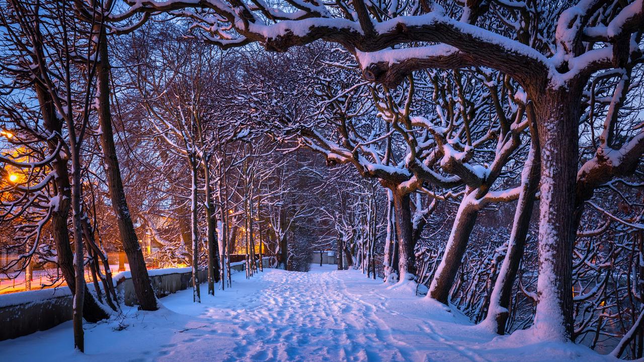 Pogoda na jutro - wtorek, 10.02. W nocy temperatura spadnie choćby do -18 stopni