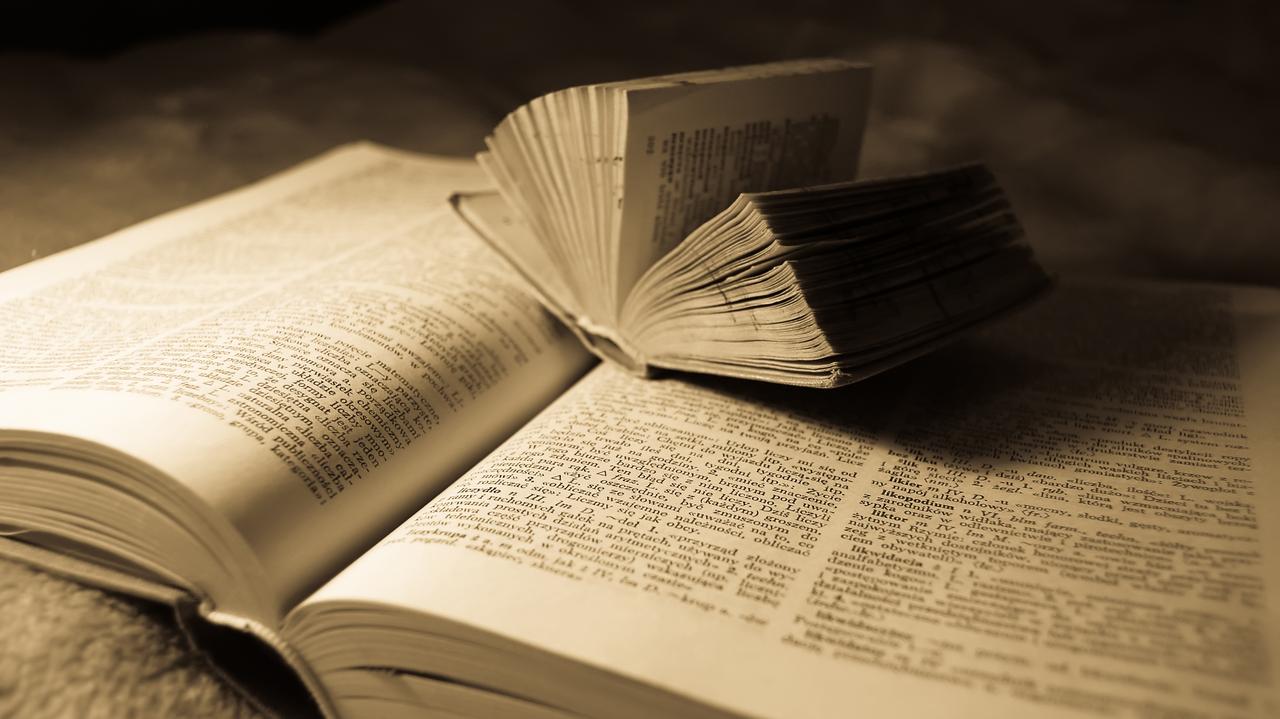 Będzie chaos czy haos? Największa reforma od 90 lat