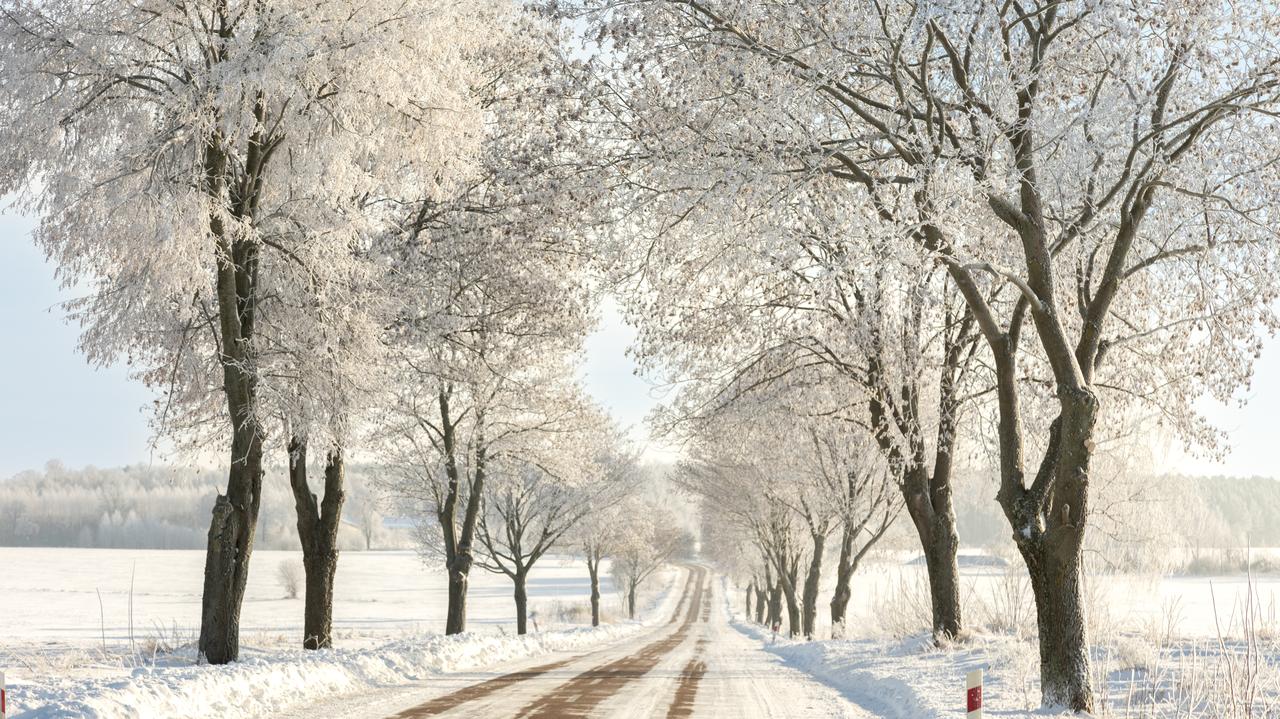 Prognoza długoterminowa IMGW. Co przyniesie pogoda zimą 2025/2026?