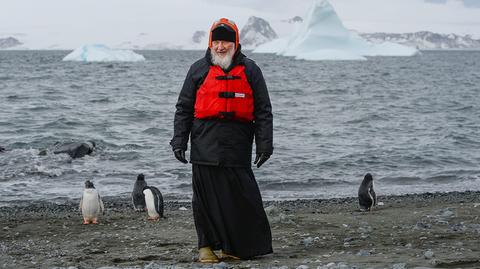 Patriarcha wśród pingwinów