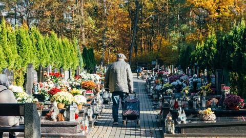 Poznań. Lasy Pamięci na cmentarzach Junikowo i Miłostowo