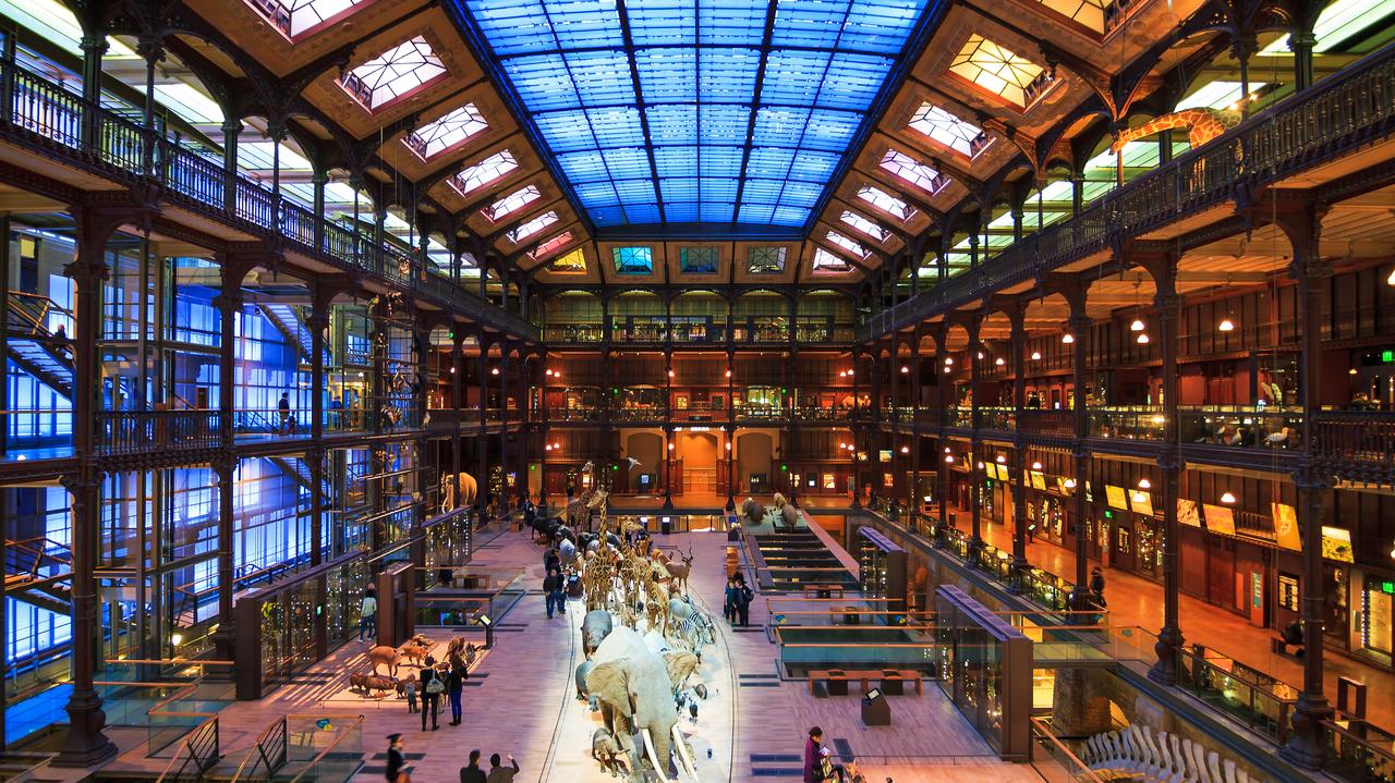 Kradzież w kolejnym paryskim muzeum. "Luka w zabezpieczeniach"