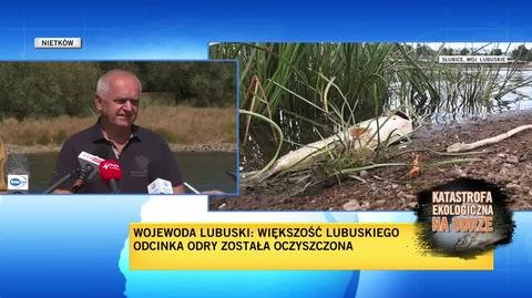 Wojewoda lubuski: utylizacją ryb zajmie się firma z okolic Wschowy