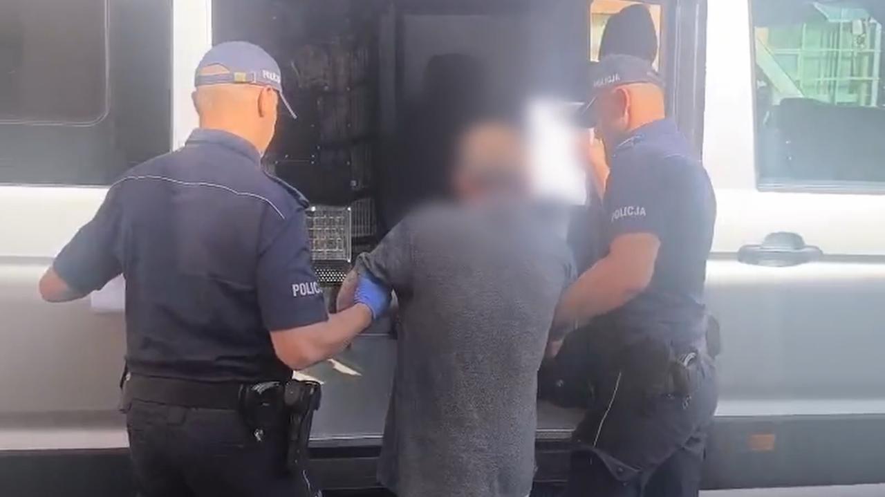 Kobieta nie żyje, jej partner aresztowany