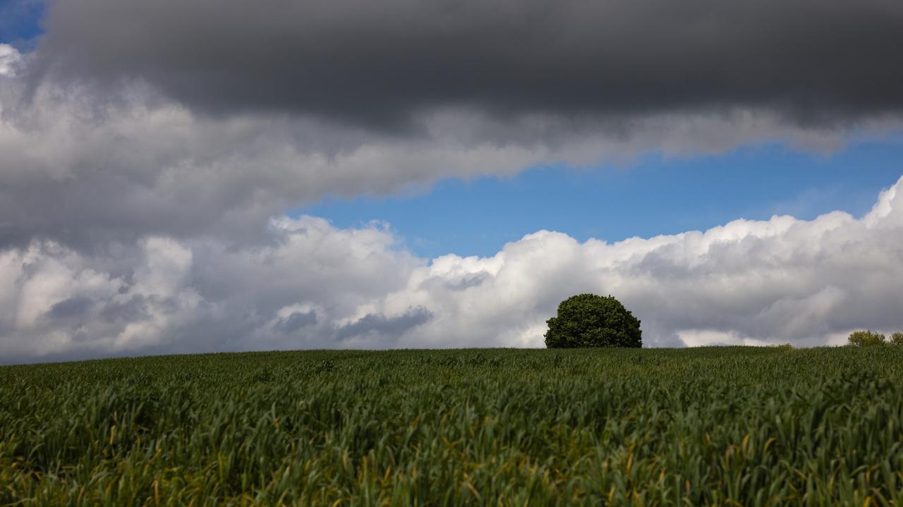 Pogoda na dziś - czwartek 05.06. Przez część kraju przetoczą się gwałtowne burze