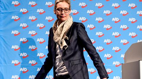 Niemcy protestują przeciwko CDU i AfD