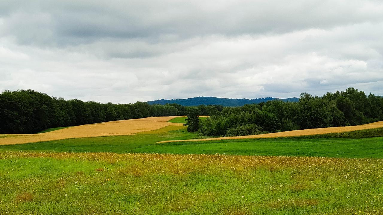 Pogoda na jutro - środa 18.06. Przybędzie chmur. U niektórych spodziewamy się aż 27 stopni