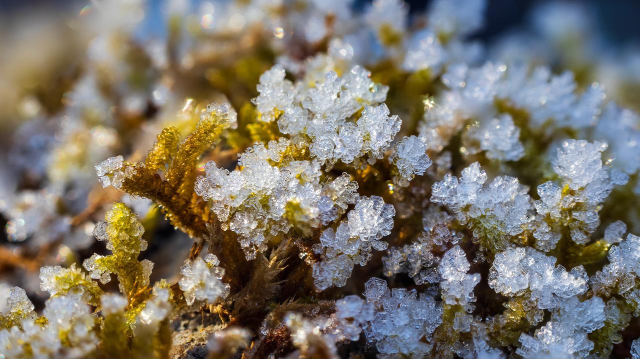 Lekki mróz przy gruncie. IMGW wydał alarmy