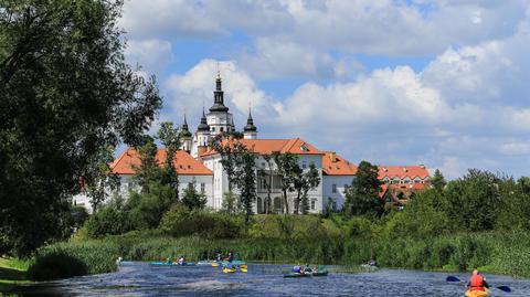 Puszcza Białowieska 