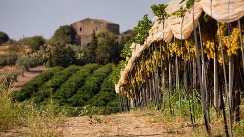 Palermo, stolica Sycylii 