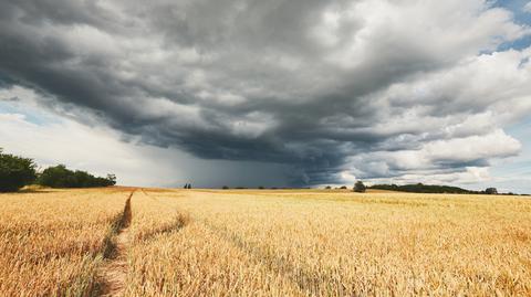 Prognoza pogody na środę