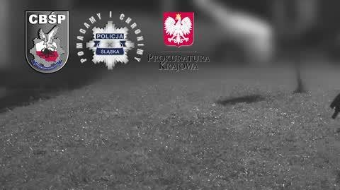 cbśp