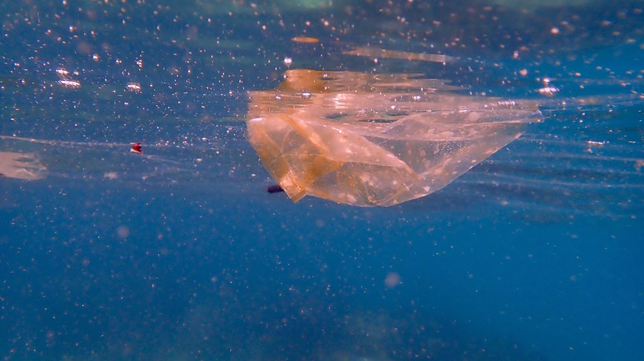 Mikroplastik może być nośnikiem patogenów