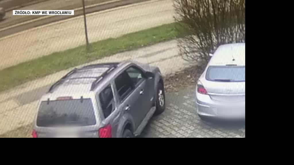 policja