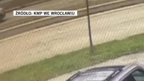 policja