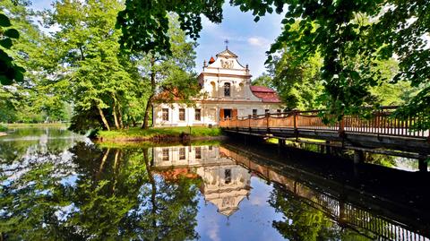 Roztoczański Park Narodowy. Rośnie nowe pokolenie koników polskich 