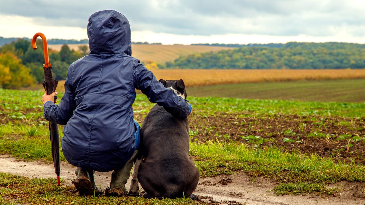 Pogoda na 5 dni. Czy uwolnimy się od jesiennej szarugi