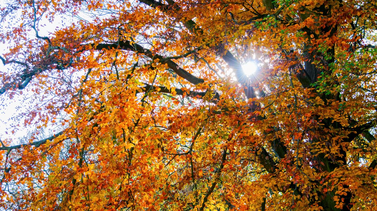 Pogoda na dziś - piątek 18.10. Słonecznie i wietrznie