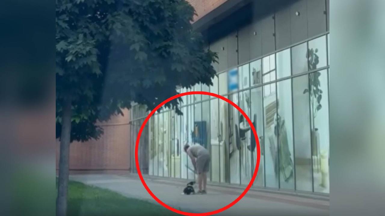 Szarpanie, krzyki, kopnięcie. Pies cierpiał, właściciel tłumaczył się stresem