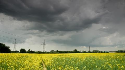 Tempeatura w ciągu kolejnych dni