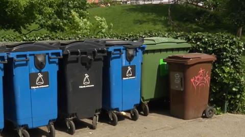 Polacy wciąż mają problem z segregowaniem śmieci