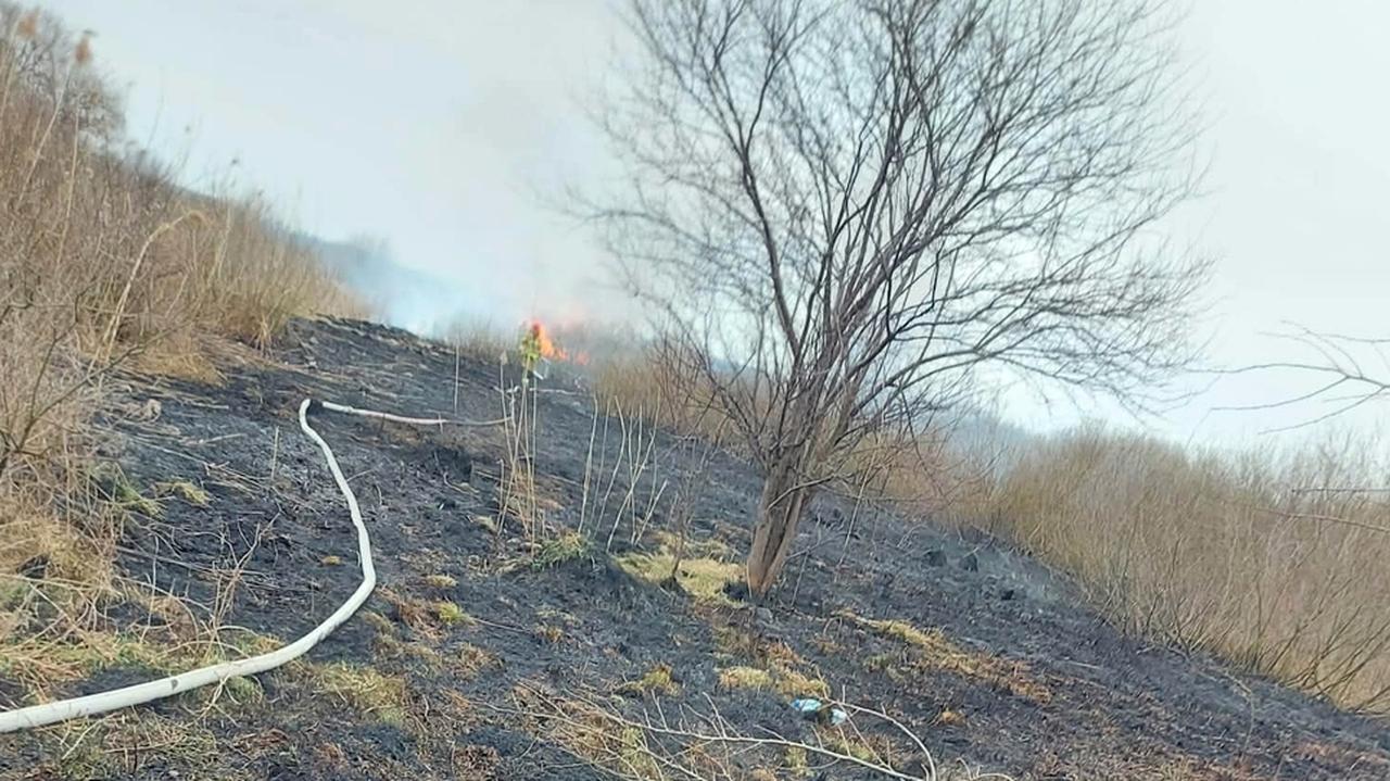 12-latkowie podpalili kartkę i wywołali pożar łąki pod Łomżą
