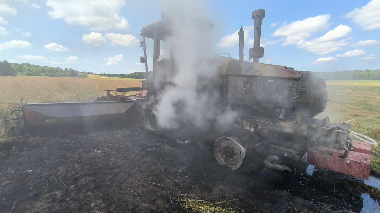 Płoną maszyny za miliony. Winny grzyb