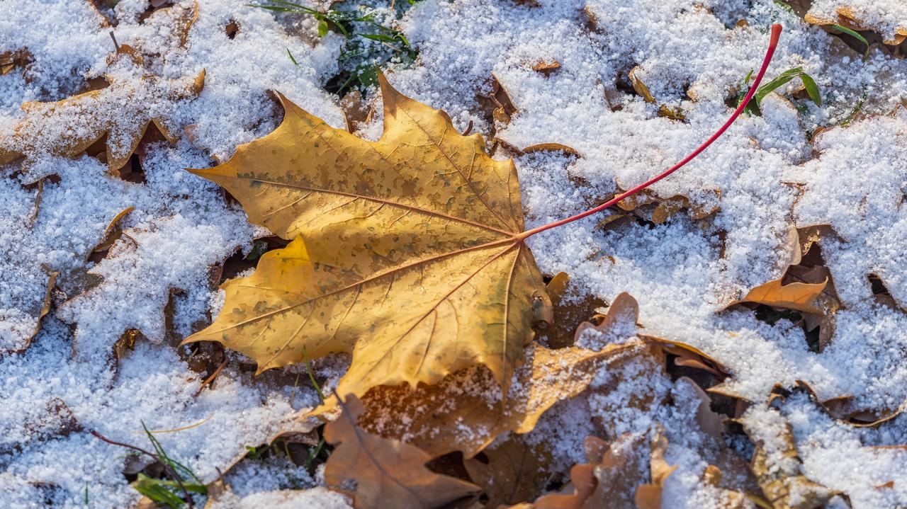 Wir polarny jest silnie zaburzony. Kiedy spadnie śnieg?