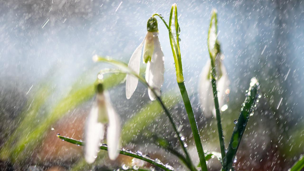 Popada, pośnieży. Czy jest szansa na ocieplenie? Pogoda na 5 dni