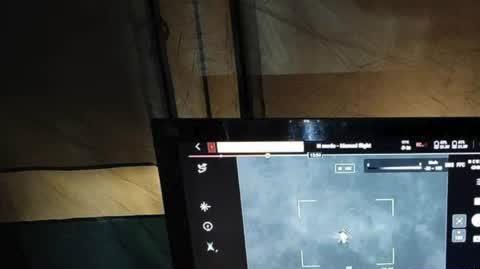 zaginion