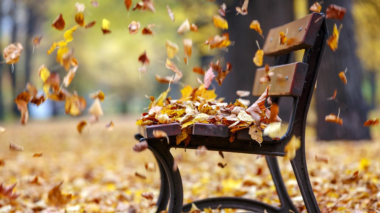 Pogoda na 5 dni. Wiry niżowe popchną w naszą stronę spore ciepło