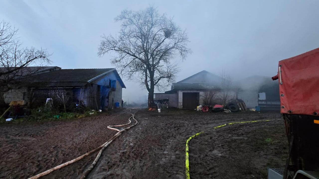 Pożar chlewni. Zwierząt nie udało się uratować