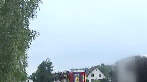 staw 1