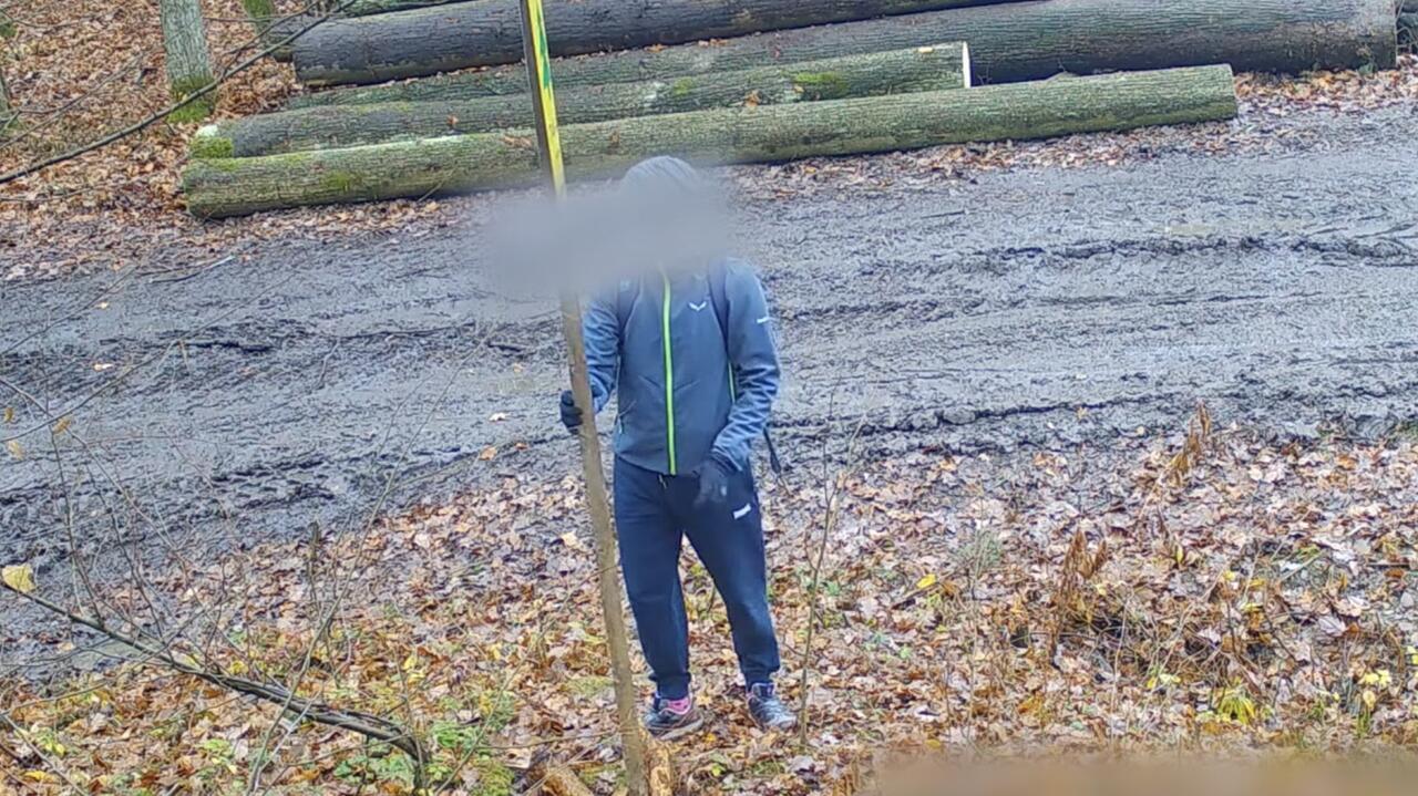 Wyrwał tablicę z informacją o zakazie wstępu do lasu, bo są tam wycinkach i sobie poszedł. Nagranie
