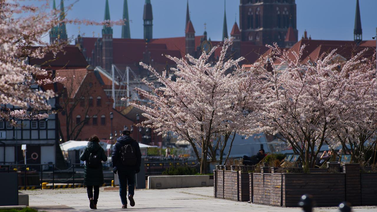 Czeka nas pogoda "fajnie wyglądająca przez okno"