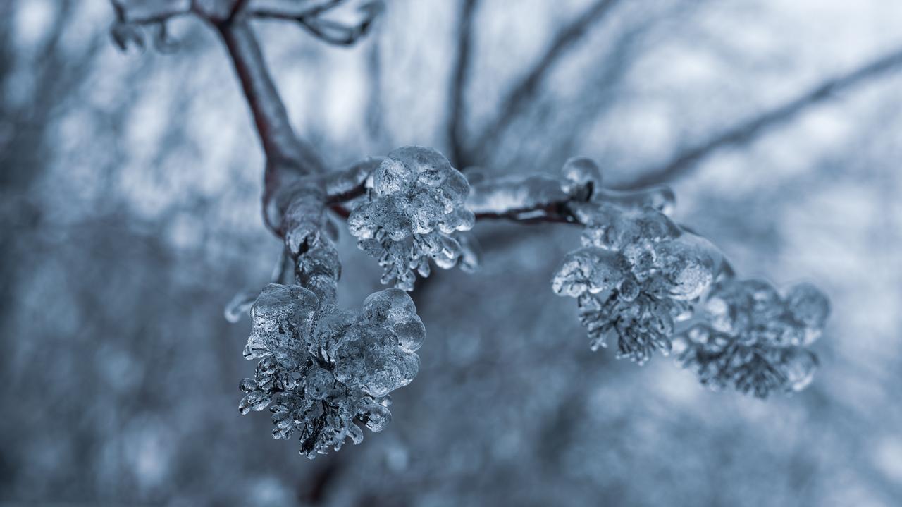 Pogoda na jutro - czwartek, 25.12. W nocy temperatura spadnie do choćby -13 stopni