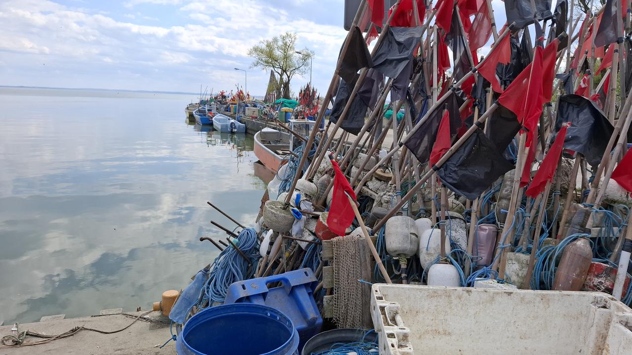 Tajemnicza choroba po zjedzeniu ryby z Zalewu Wiślanego. Co trzeba o niej wiedzieć?