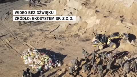 Ekosystem Sp