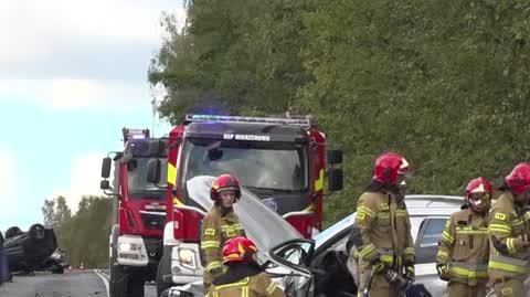 dk11