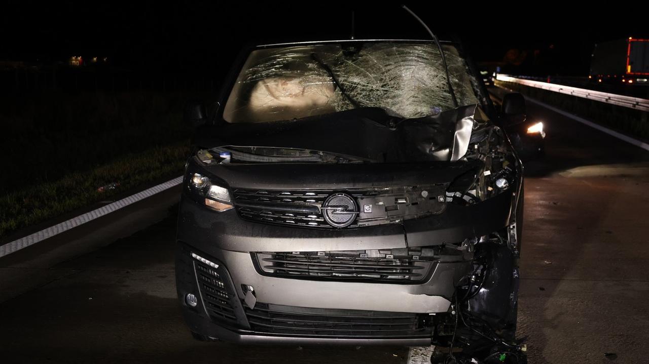 Przechodził w poprzek autostrady. Nie żyje