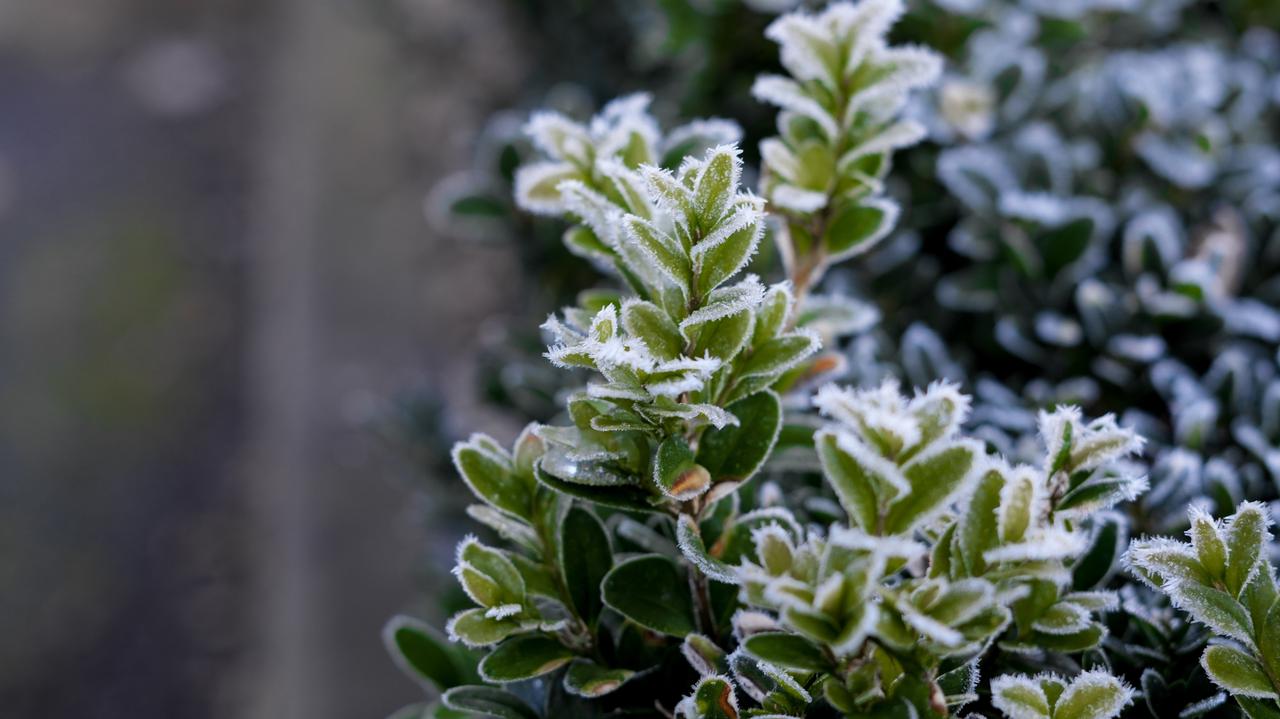 Zimno znów będzie zagrożeniem. Ostrzeżenia IMGW w 11 województwach