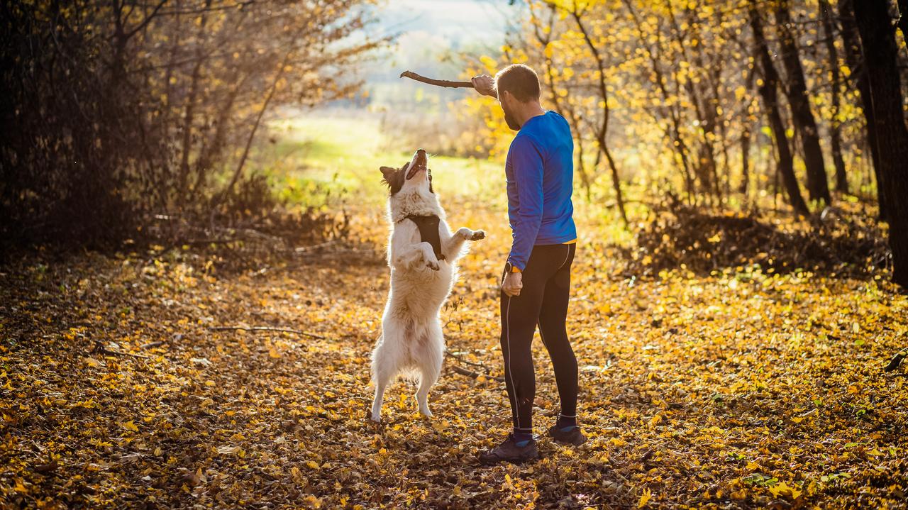 Pogoda na dziś - wtorek 4.11. Więcej słońca, do 14 stopni