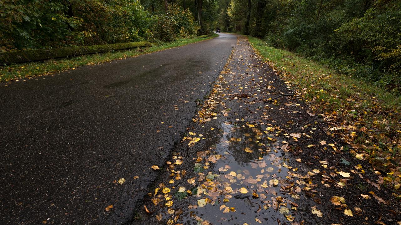 Pogoda na dziś - niedziela, 2.11, Zaduszki. Duża różnica temperatury między północą a południem
