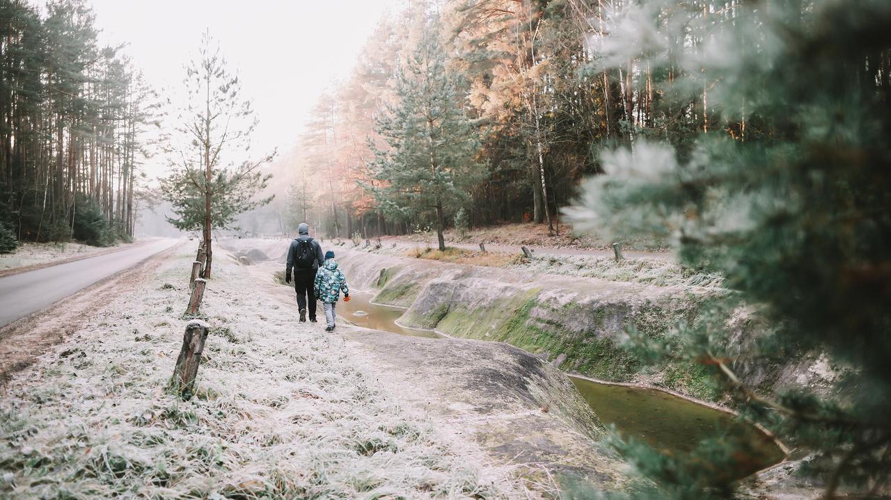 Wigilia przyniesie zmianę w pogodzie, ale czy spadnie śnieg? Prognoza