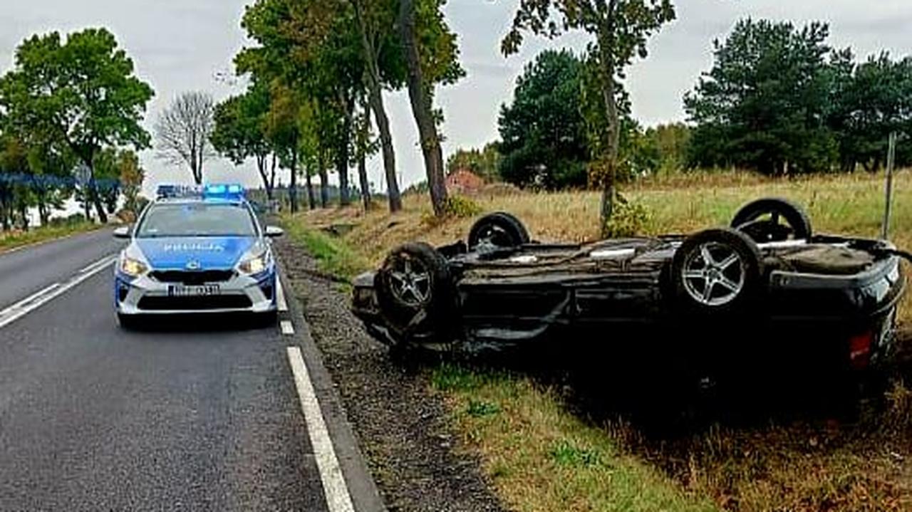 Sarna weszła na drogę. Dachował samochód